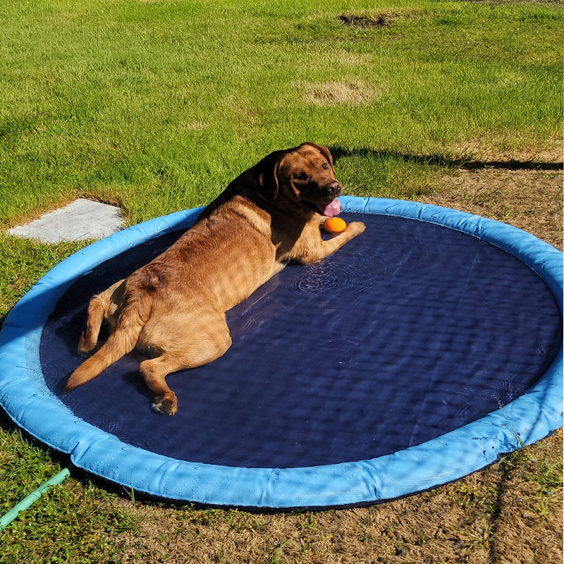 Skorter | Folding Pet Bathing Pad