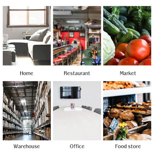 Skorter | Automatic mouse trap with continuous cycle