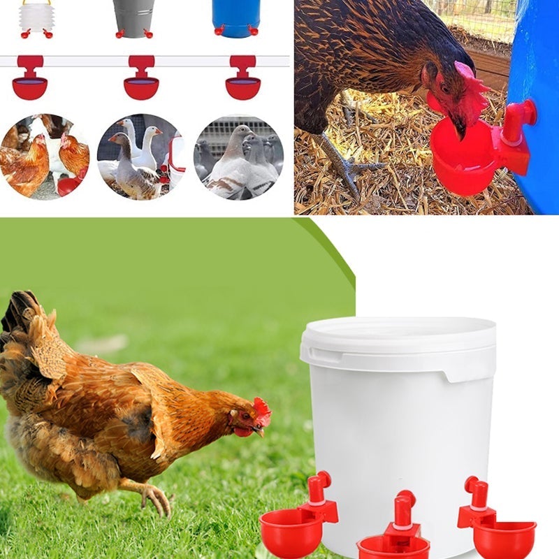 Skorter | Automatic Poultry Drinker