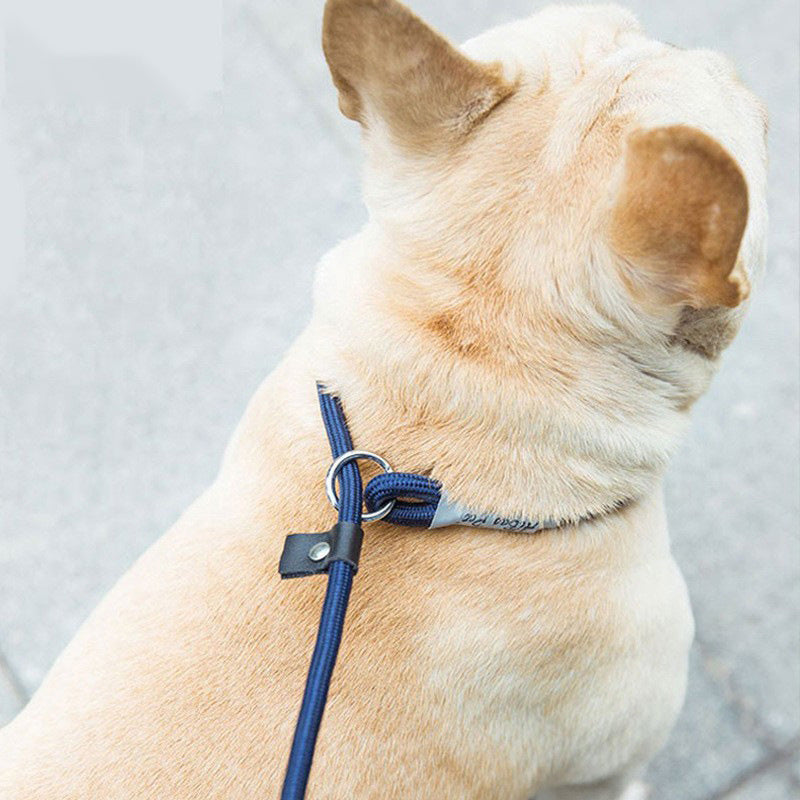 Skorter | Dog Leash