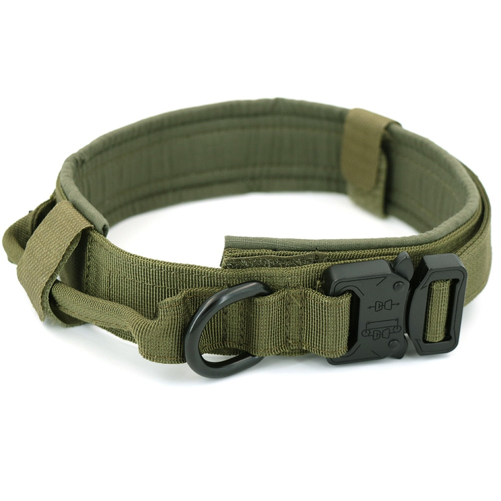 Skorter | Dog collar