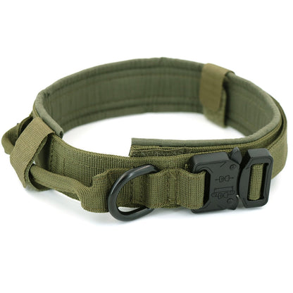 Skorter | Dog collar