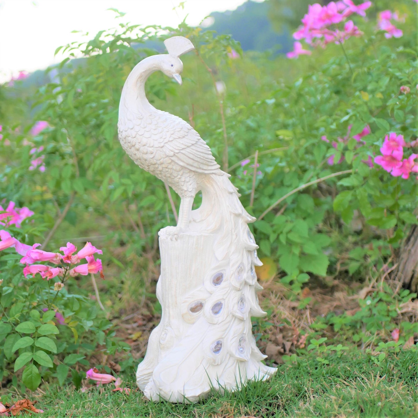 Skorter | olarPeacock - Colorful Harshage plug on Solar Energy, Perfect