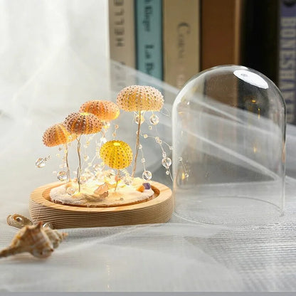 Skorter | LumiCraft – Unique DIY table lamp with natural sea shell for a cozy décor