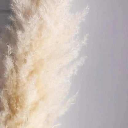 Skorter | 80 cm natural, real dried pampas grass bouquet (white / beige / gray) │ fluffy feather for modern boho home decor
