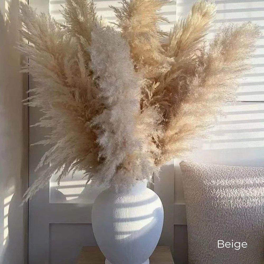 Skorter | 80 cm natural, real dried pampas grass bouquet (white / beige / gray) │ fluffy feather for modern boho home decor