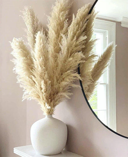 Skorter | 80 cm natural, real dried pampas grass bouquet (white / beige / gray) │ fluffy feather for modern boho home decor