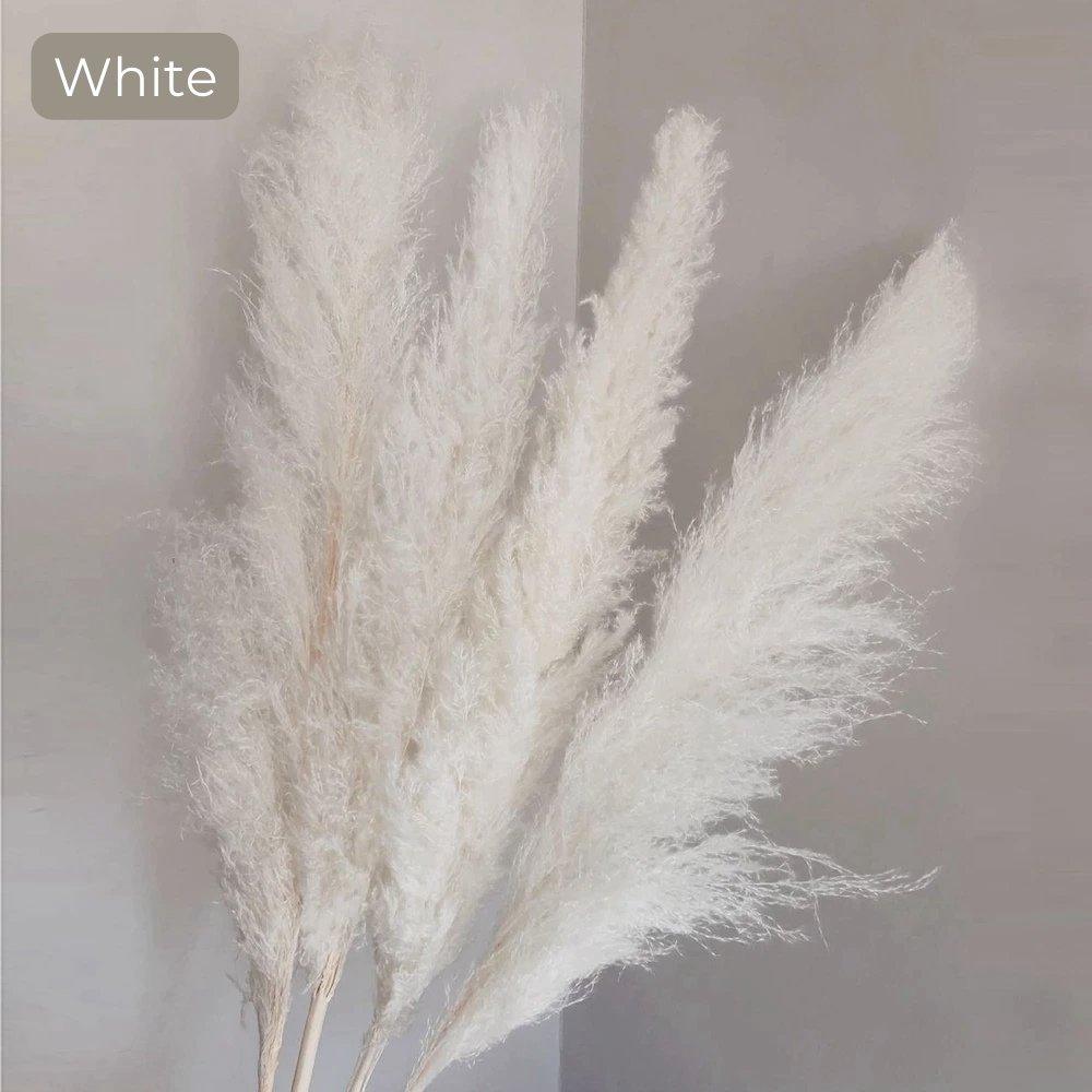 Skorter | 80 cm natural, real dried pampas grass bouquet (white / beige / gray) │ fluffy feather for modern boho home decor