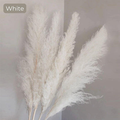 Skorter | 80 cm natural, real dried pampas grass bouquet (white / beige / gray) │ fluffy feather for modern boho home decor