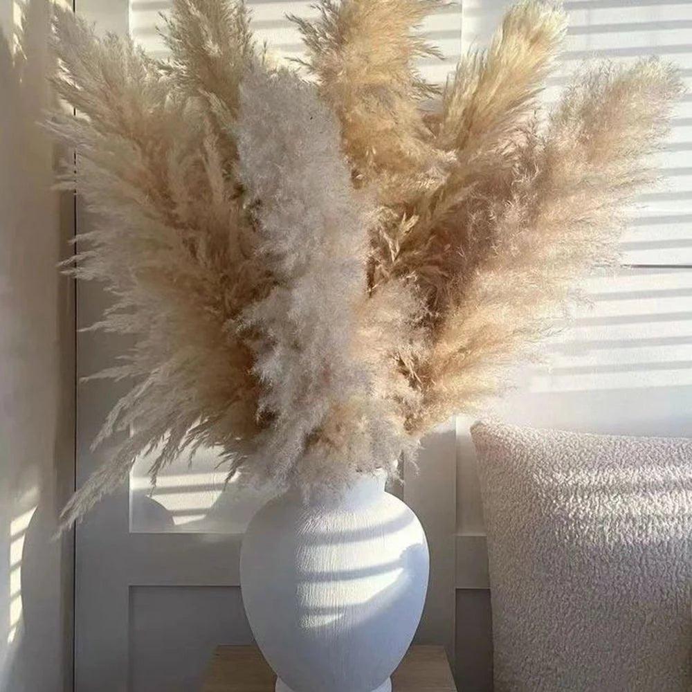Skorter | 80 cm natural, real dried pampas grass bouquet (white / beige / gray) │ fluffy feather for modern boho home decor