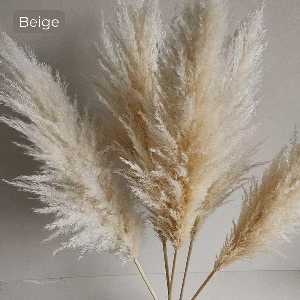 Skorter | 80 cm natural, real dried pampas grass bouquet (white / beige / gray) │ fluffy feather for modern boho home decor