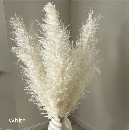 Skorter | 80 cm natural, real dried pampas grass bouquet (white / beige / gray) │ fluffy feather for modern boho home decor