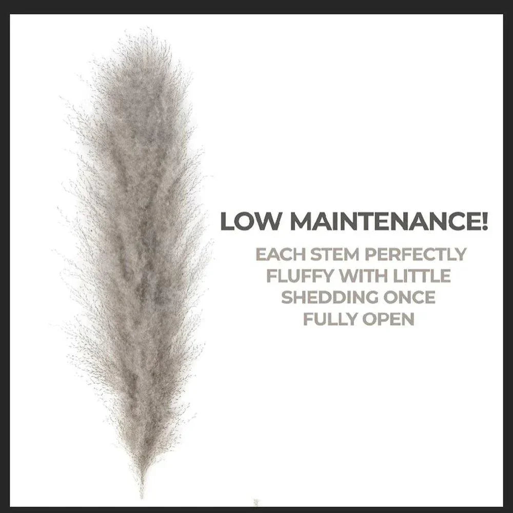 Skorter | 80 cm natural, real dried pampas grass bouquet (white / beige / gray) │ fluffy feather for modern boho home decor