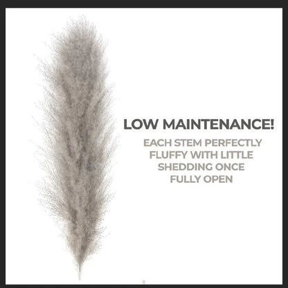 Skorter | 80 cm natural, real dried pampas grass bouquet (white / beige / gray) │ fluffy feather for modern boho home decor