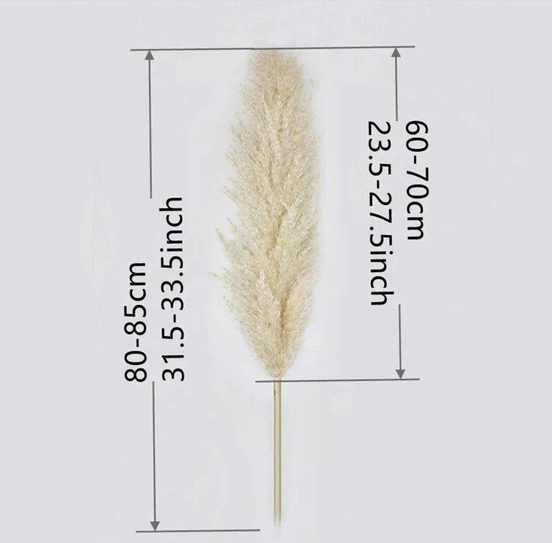 Skorter | 80 cm natural, real dried pampas grass bouquet (white / beige / gray) │ fluffy feather for modern boho home decor