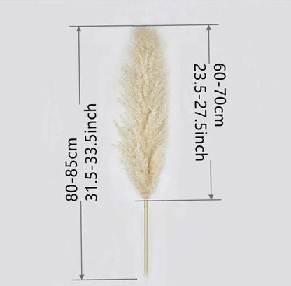 Skorter | 80 cm natural, real dried pampas grass bouquet (white / beige / gray) │ fluffy feather for modern boho home decor