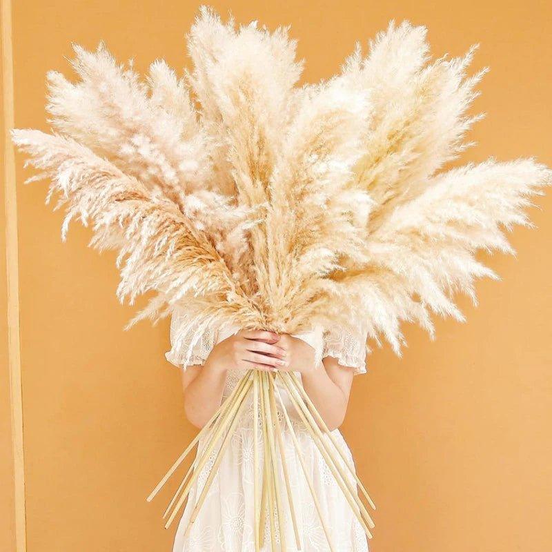Skorter | 80 cm natural, real dried pampas grass bouquet (white / beige / gray) │ fluffy feather for modern boho home decor