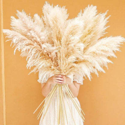Skorter | 80 cm natural, real dried pampas grass bouquet (white / beige / gray) │ fluffy feather for modern boho home decor