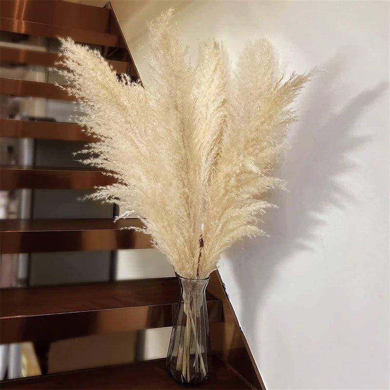 Skorter | 80 cm natural, real dried pampas grass bouquet (white / beige / gray) │ fluffy feather for modern boho home decor