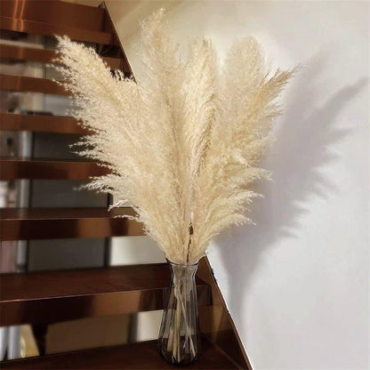 Skorter | 80 cm natural, real dried pampas grass bouquet (white / beige / gray) │ fluffy feather for modern boho home decor
