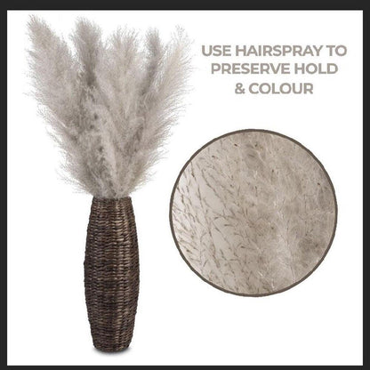 Skorter | 80 cm natural, real dried pampas grass bouquet (white / beige / gray) │ fluffy feather for modern boho home decor