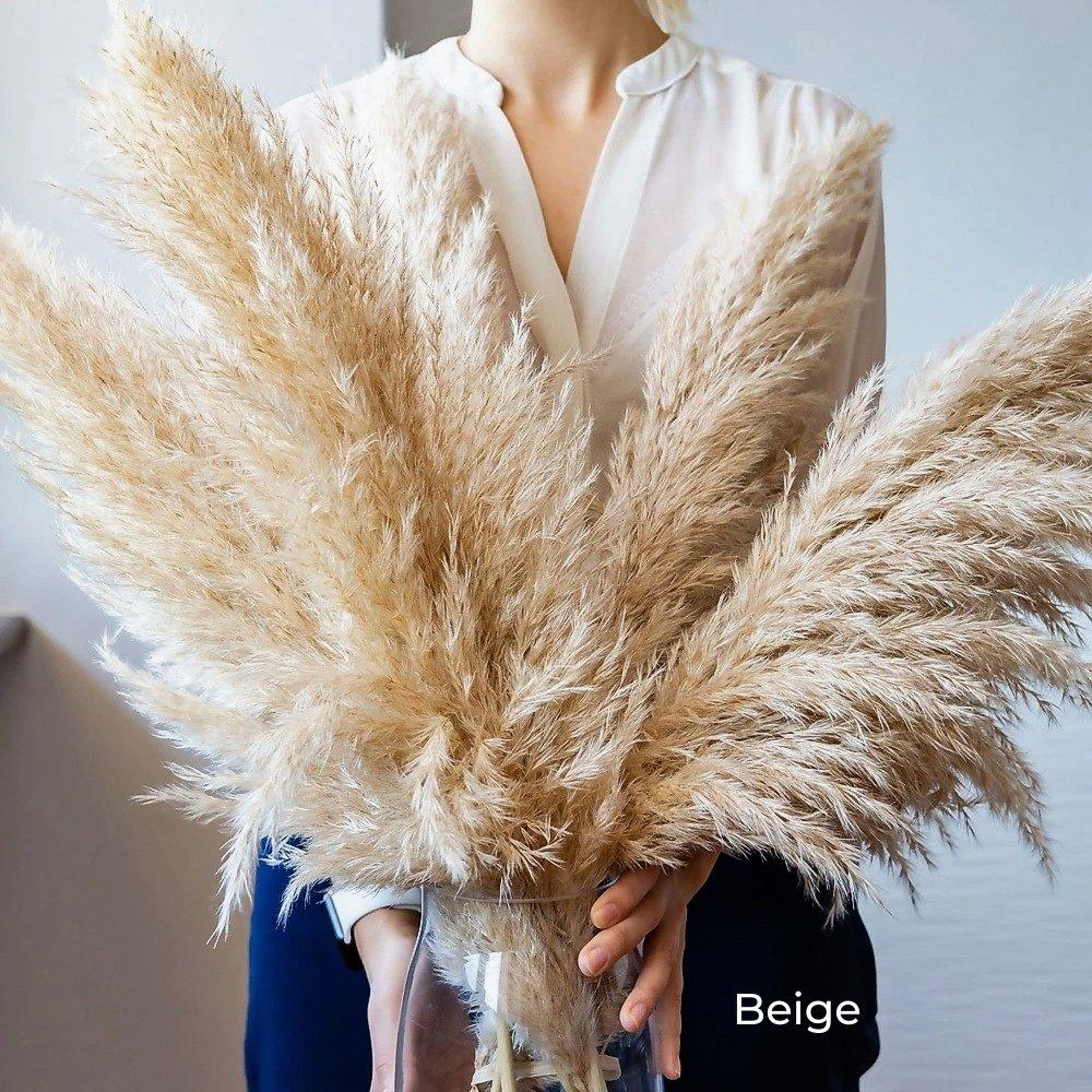 Skorter | 80 cm natural, real dried pampas grass bouquet (white / beige / gray) │ fluffy feather for modern boho home decor