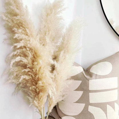 Skorter | 80 cm natural, real dried pampas grass bouquet (white / beige / gray) │ fluffy feather for modern boho home decor