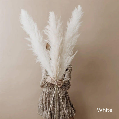 Skorter | 80 cm natural, real dried pampas grass bouquet (white / beige / gray) │ fluffy feather for modern boho home decor
