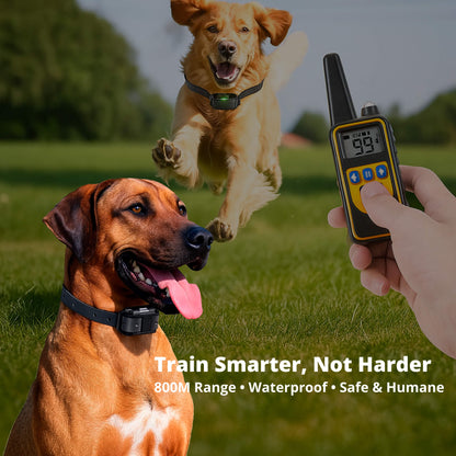 Skorter | 800M Rechargeable Electric Dog Training Collar | Waterproof, Remote Control & Ideal for Effective Dog Training
