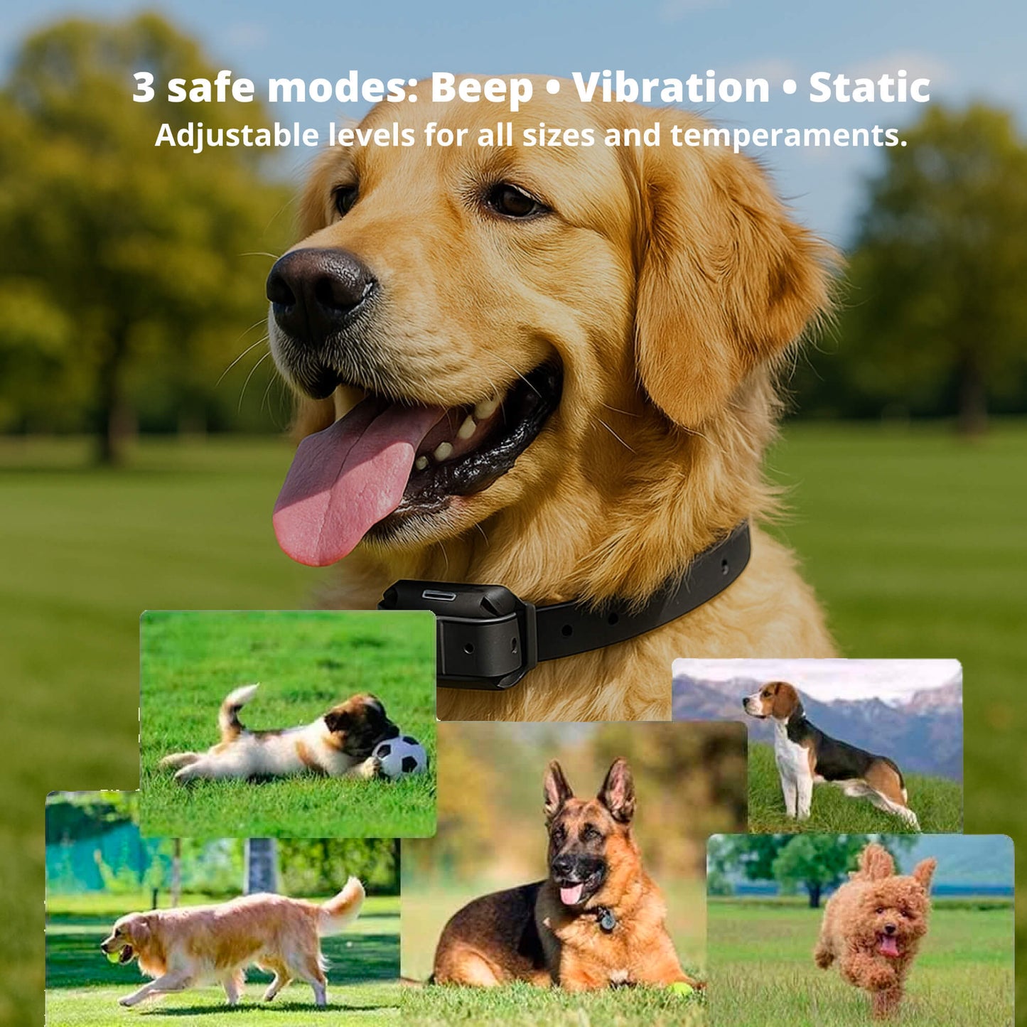 Skorter | 800M Rechargeable Electric Dog Training Collar | Waterproof, Remote Control & Ideal for Effective Dog Training