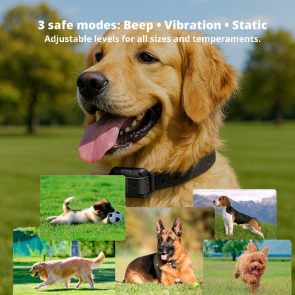 Skorter | 800M Rechargeable Electric Dog Training Collar | Waterproof, Remote Control & Ideal for Effective Dog Training