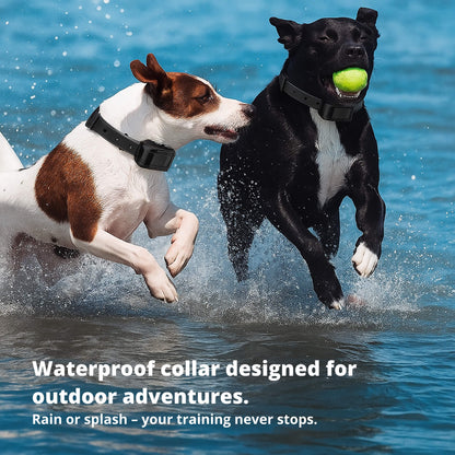 Skorter | 800M Rechargeable Electric Dog Training Collar | Waterproof, Remote Control & Ideal for Effective Dog Training