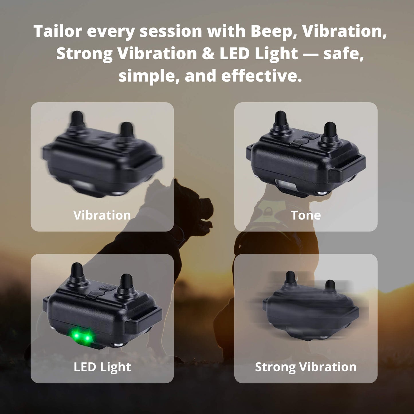 Skorter | 800M Rechargeable Electric Dog Training Collar | Waterproof, Remote Control & Ideal for Effective Dog Training