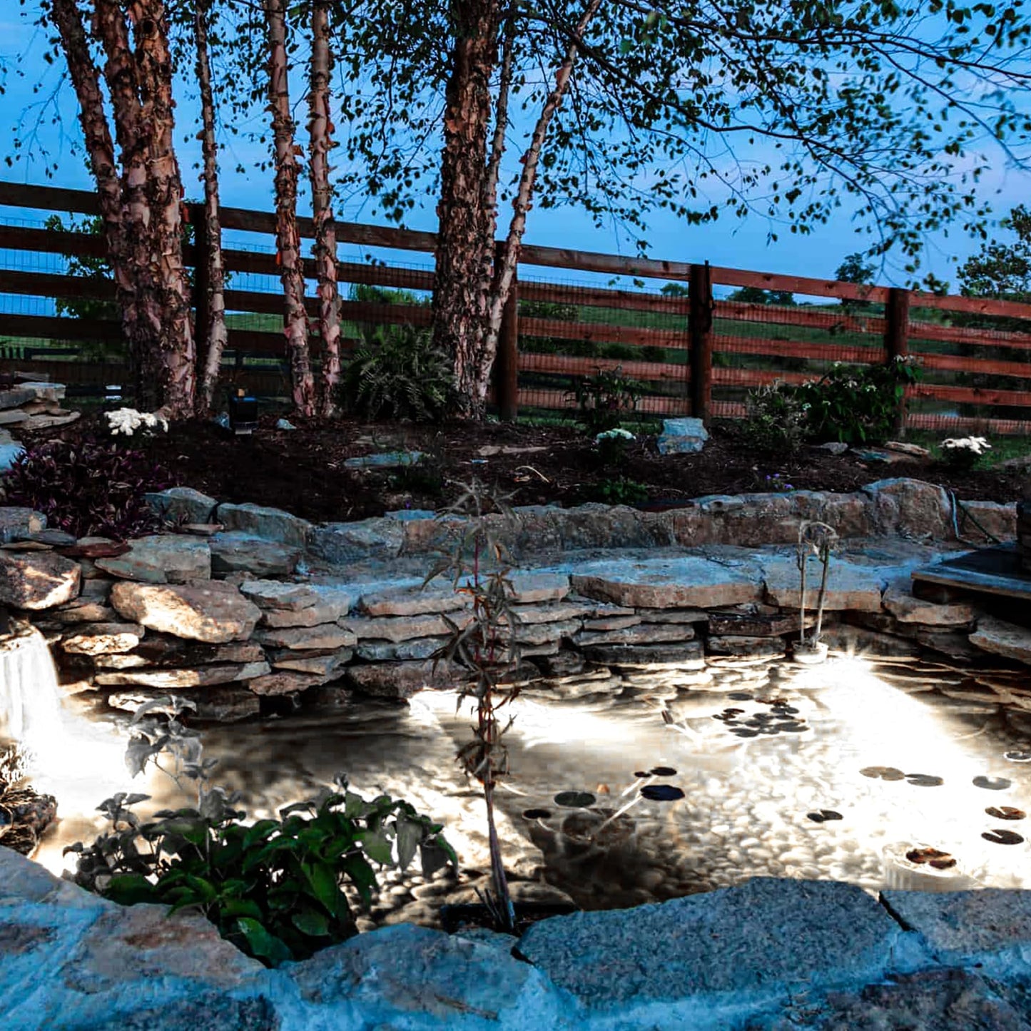 Skorter | Crepow Cold White LED Pond Light, Waterproof Submersible Spotlight for Garden & Aquarium (3-Pack)