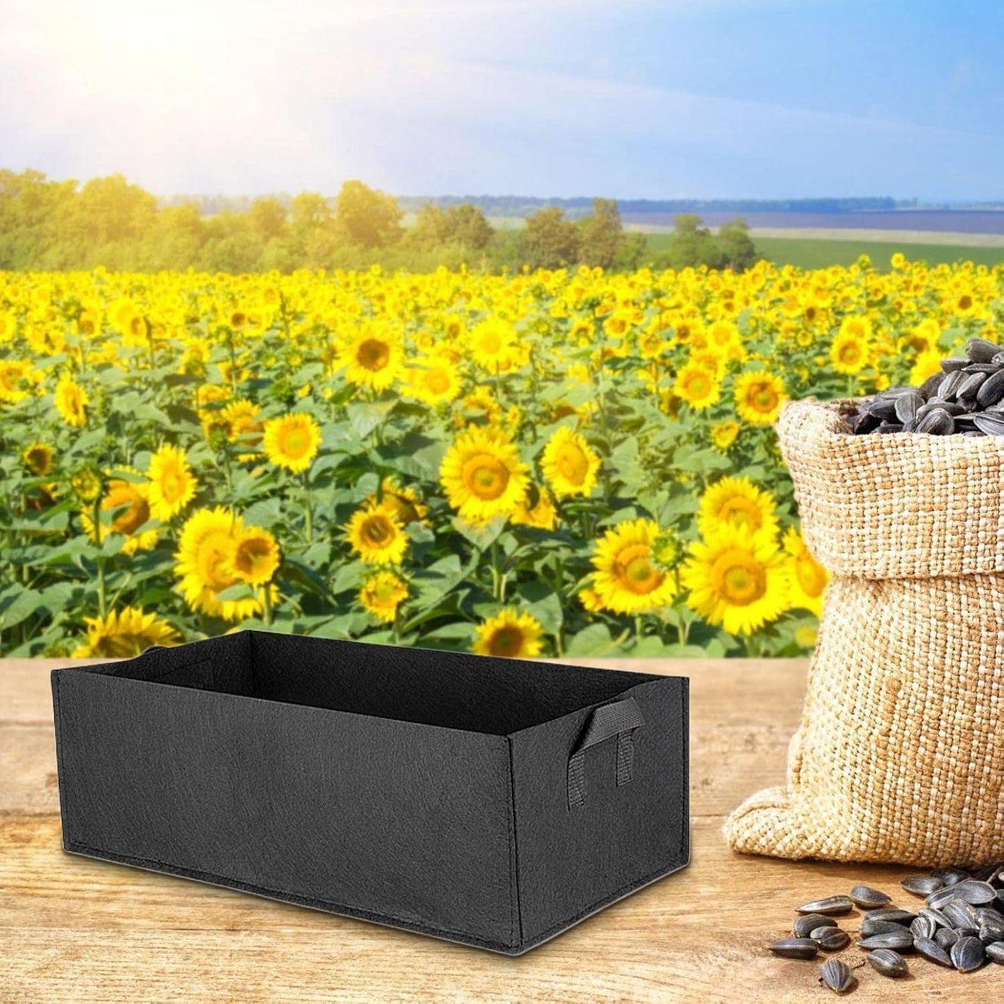 Skorter | Foldable storage box made of felt for plants with handles