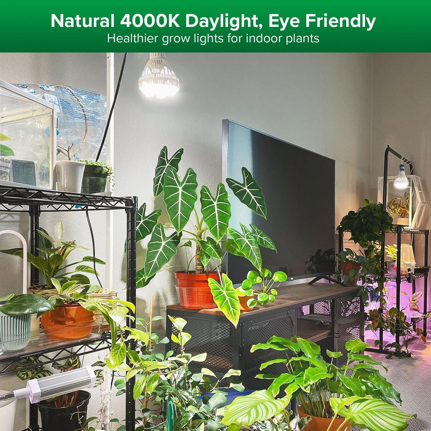 Skorter | Sansi 36W Full Spectrum Waxing Lamp, Energy Saving LED For Indoor Plants, 400W Equivalent
