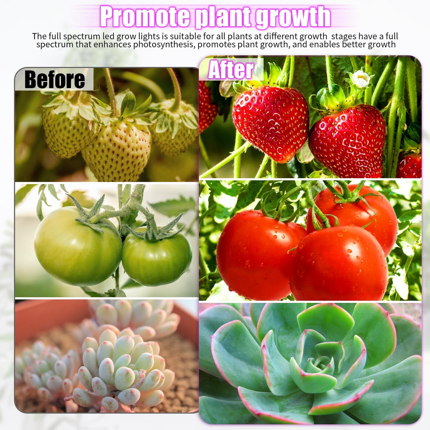 Skorter | Widicoko Led Grow Lights, 4 Heads Full Spectrum, Dimmable, Auto On/Off For Indoor Plants
