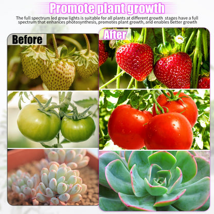 Skorter | Widicoko Led Grow Lights, 4 Heads Full Spectrum, Dimmable, Auto On/Off For Indoor Plants