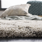 Skørter | SAFAVIEH Hudson Shag Collection SGH282C Moroccan Trellis Non-Shedding Living Room Bedroom Dining Room Entry Plush 2-inch Thickness Area Rug, 3' x 5', Navy / Ivory