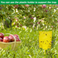 Skørter | 50 Sheets Yellow Sticky Traps, Fruit Fly Traps, for Indoor and Outdoor, Includes Twisted Tovar and Plastic Holders