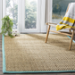 Skørter | Safavieh Natural Fiber Collection NF114R Border Basketweave Seagrass Area Rug, 3' x 5', Teal