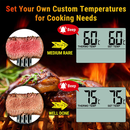 Skorter | ThermoPro TP-16 Large LCD Digital Cooking Meat Smoker Kitchen BBQ Grill Thermometer Clock Timer with Steel Probe
