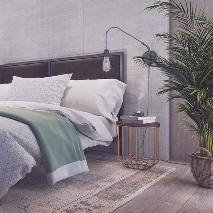 Skorter | WiFi-connected Edison filament LED smart light bulbs