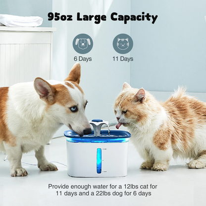 Skorter | Pet fountain with Anti-Slip Mat Dispenser with Smart Pump - Cat or Dog