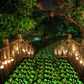 Skørter | chic style 300pcs Glow in the Dark Garden Stones, Garden Luminous Glow Stones Outdoor Decor Glowing Water Fish Tank Gravel (Blue)