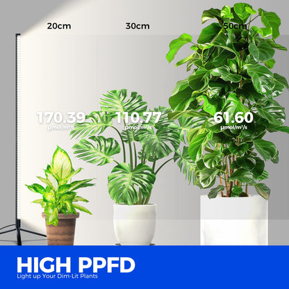 Skorter | Barrina 42W Full Spectrum Led Grow Light, 4Ft Height, Daylight White, Stand