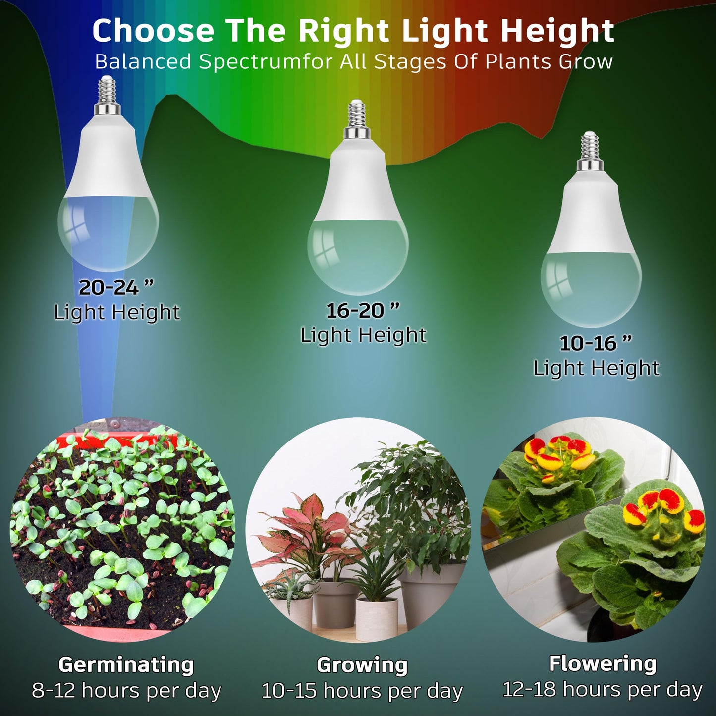 Skorter | Alide Growth Light Bulbs E12, 10W Full Spectrum Led, 5000K Red Blue For Indoor Plants, 6