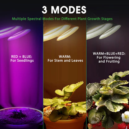 Skorter | Briignite LED Grow Light For Indoor Plants, Full Spectrum, Dimmable, Automatic Timer, Double Heads