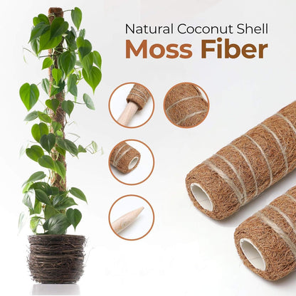 Skorter | Coconut moss stick for climbing plants – Natural climbing aid for houseplants and garden