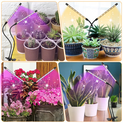 Skorter | Zyzykeji LED Grow Light 2-Pack, Full Spectrum Plant Lighting With Clamp, 10-Level Dimmable, Auto Timer
